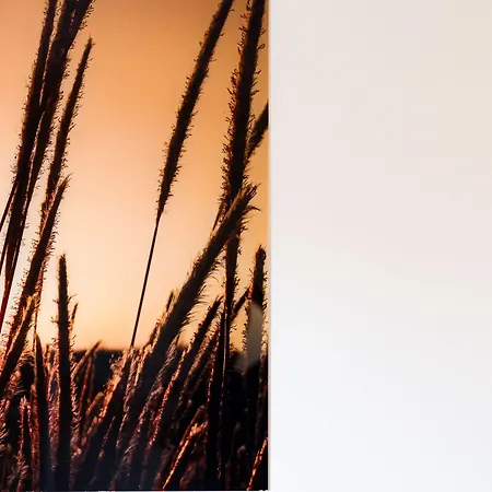 Grand Cap Rooftop Pool Hotel